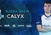 Calyx Röportajı