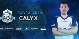 Calyx Röportajı
