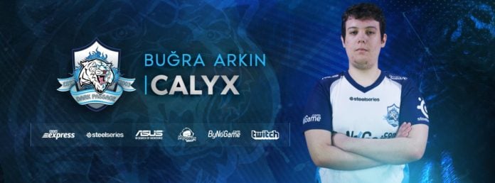 Calyx Röportajı