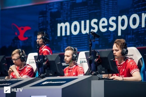 mouse