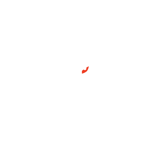 G2 Esports logosu