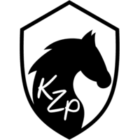 KZ PLAYERS logosu