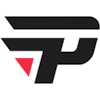 paiN Academy logosu