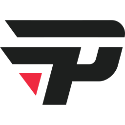 paiN logosu