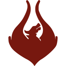 Team Phoenix logosu
