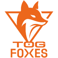 TeamOrangeGaming logosu