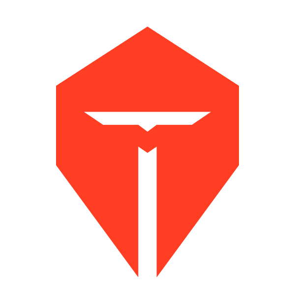 TOP ESPORTS logosu